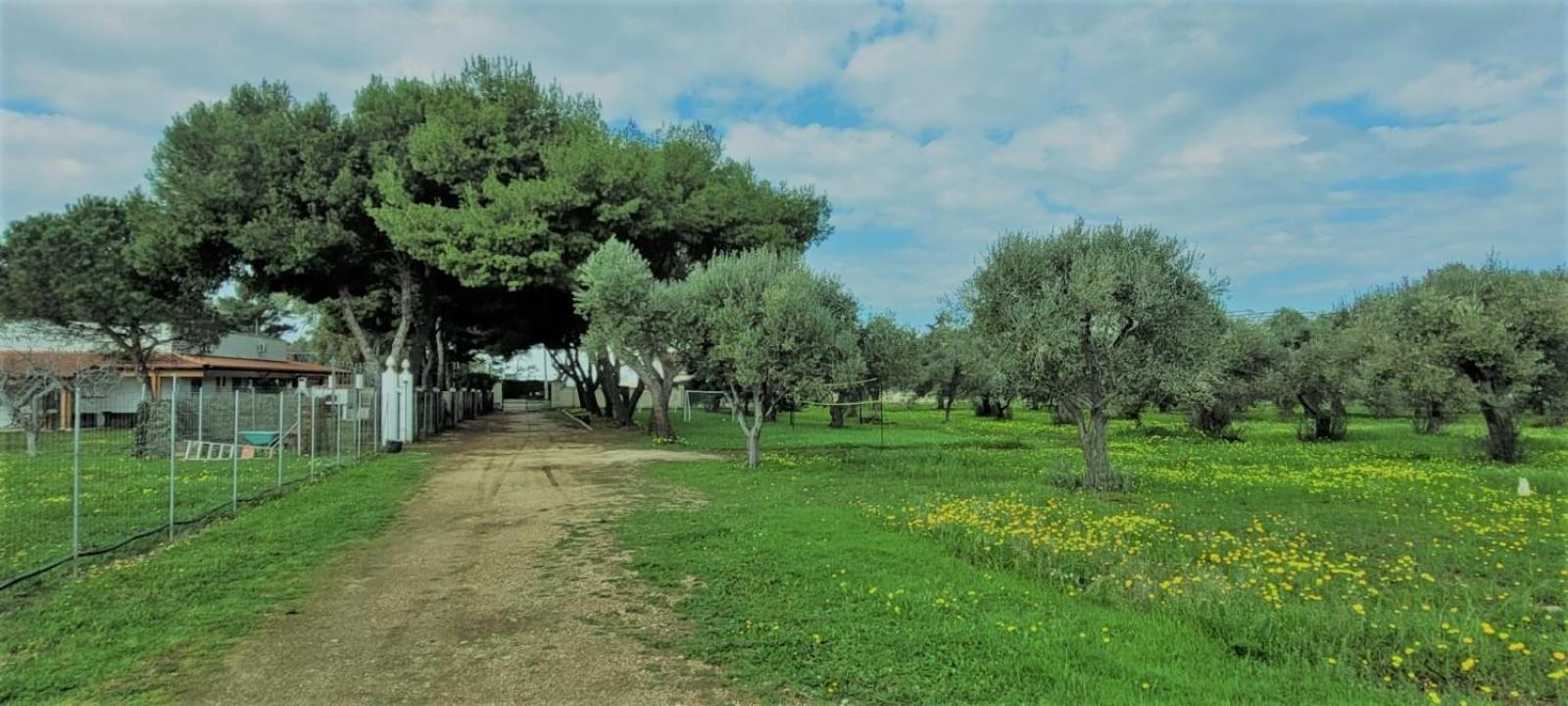 Villa Laura 巴里 外观 照片