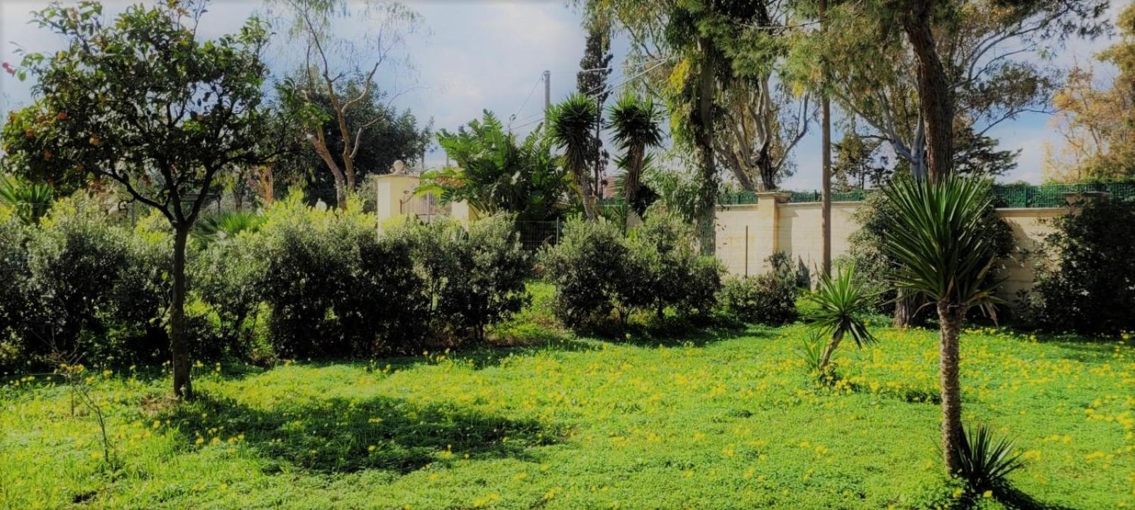 Villa Laura 巴里 外观 照片