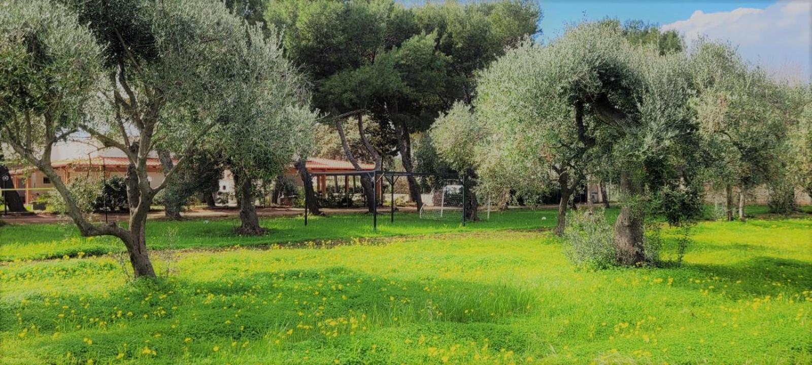 Villa Laura 巴里 外观 照片