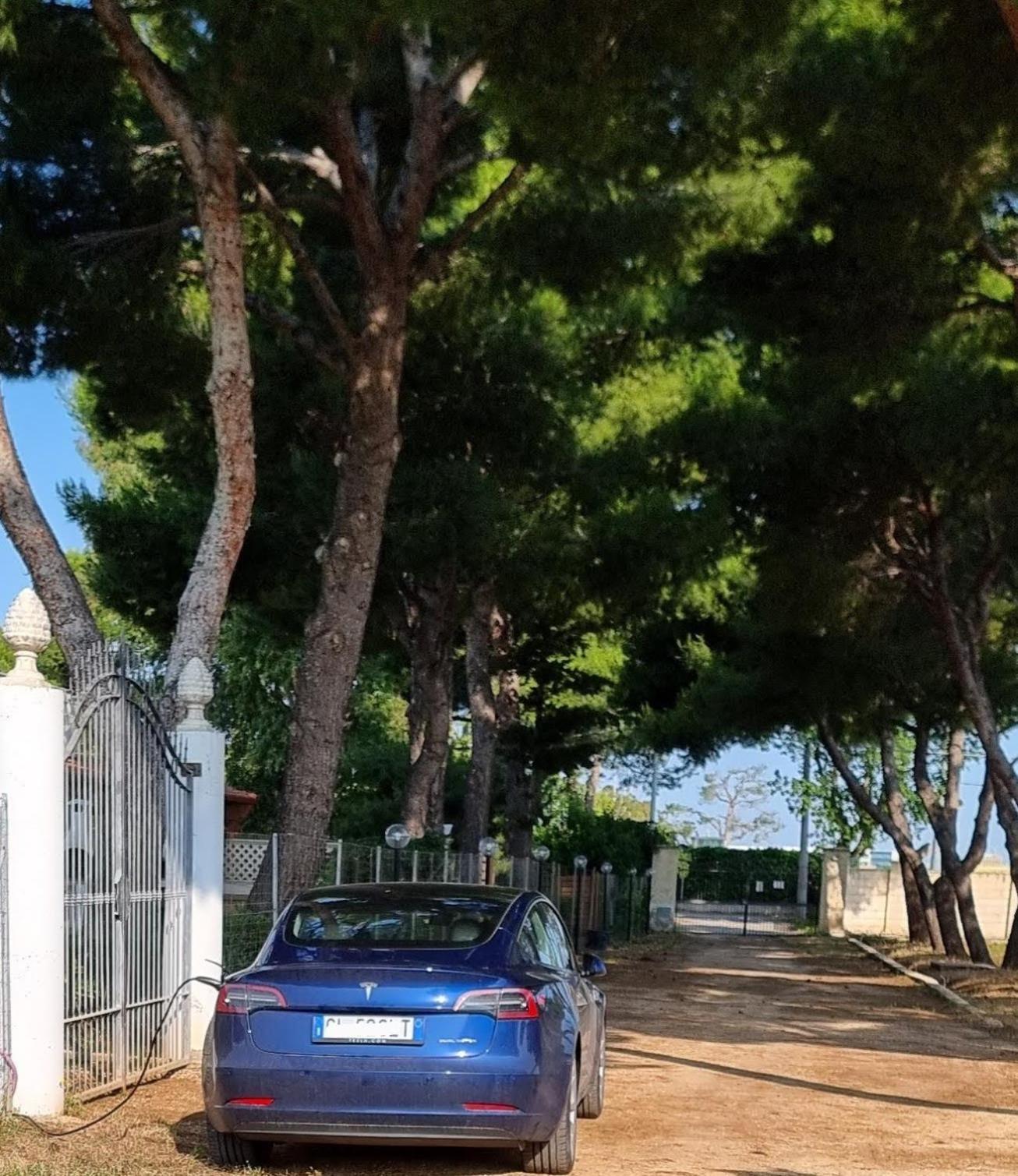 Villa Laura 巴里 外观 照片